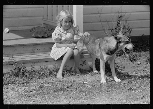 Untitled photo, possibly related to: Daughter of resettlement client, San Luis Valley Farms, Alamosa, Colorado, poses with two of her father's fine pigs