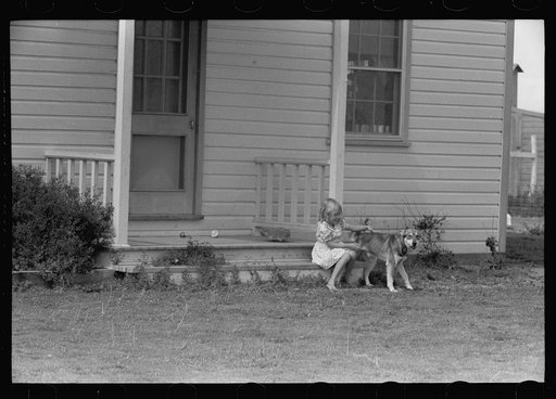 Untitled photo, possibly related to: Daughter of resettlement client, San Luis Valley Farms, Alamosa, Colorado, poses with two of her father's fine pigs