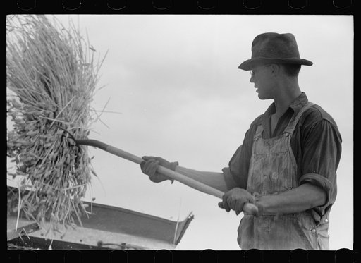 Untitled photo, possibly related to: Grain harvest, San Luis Valley Farms, Alamosa, Colorado