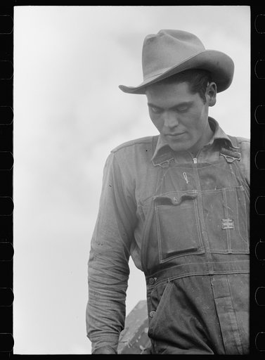 Untitled photo, possibly related to: Philipe Aranjo harvests grain, Costilla County, Colorado