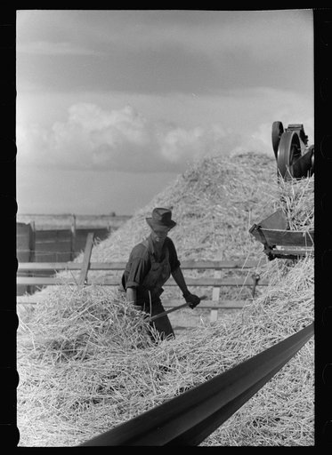 Untitled photo, possibly related to: Threshing grain, San Luis Valley Farms, Alamosa, Colorado