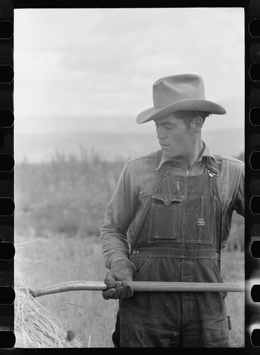 Untitled photo, possibly related to: Philipe Aranjo harvests grain, Costilla County, Colorado