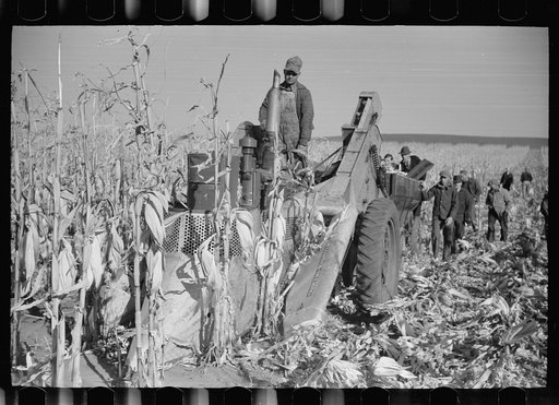 Untitled photo, possibly related to: Contest for mechanical corn pickers, Hardin County, Iowa