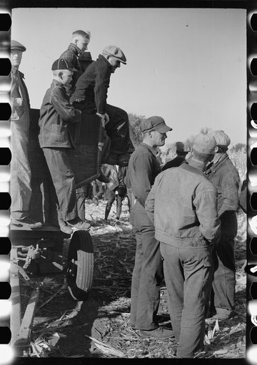 Untitled photo, possibly related to: Farmers at mechanical cornhusking contest. One has a sample ear of hybrid corn, Hardin County, Iowa