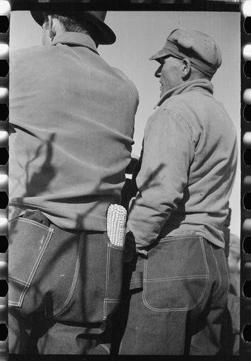 Untitled photo, possibly related to: Farmers at mechanical cornhusking contest. One has a sample ear of hybrid corn, Hardin County, Iowa