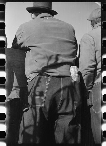 Untitled photo, possibly related to: Farmers at mechanical cornhusking contest. One has a sample ear of hybrid corn, Hardin County, Iowa