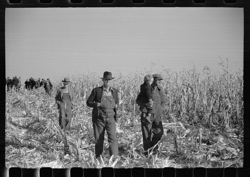 Farmers at mechanical cornhusking contest, Hardin County, Iowa