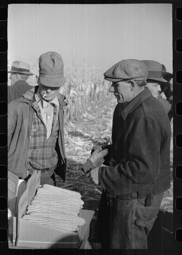 Farmers examine exhibit of hybrid corn, mechanical cornhusking contest, Hardin County, Iowa
