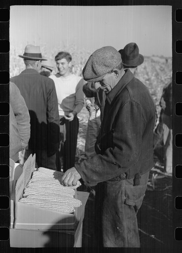 Untitled photo, possibly related to: Farmers examine exhibit of hybrid corn, mechanical cornhusking contest, Hardin County, Iowa