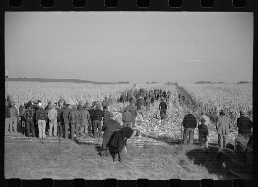 Untitled photo, possibly related to: Mechanical cornhusking contest, Hardin County, Iowa