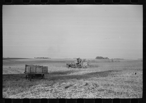Untitled photo, possibly related to: Wagon full of corn comes in from the field, Grundy County, Iowa
