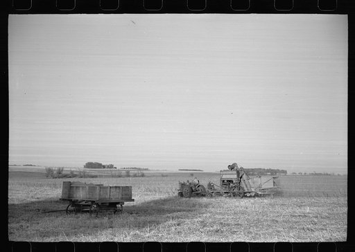 Untitled photo, possibly related to: Wagon full of corn comes in from the field, Grundy County, Iowa