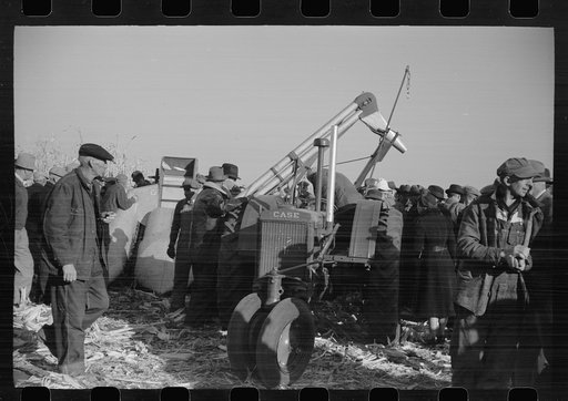 Untitled photo, possibly related to: Farmers at mechanical cornhusking contest, Hardin County, Iowa