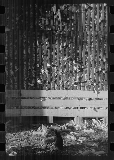 Untitled photo, possibly related to: Corn crib, Grundy County, Iowa