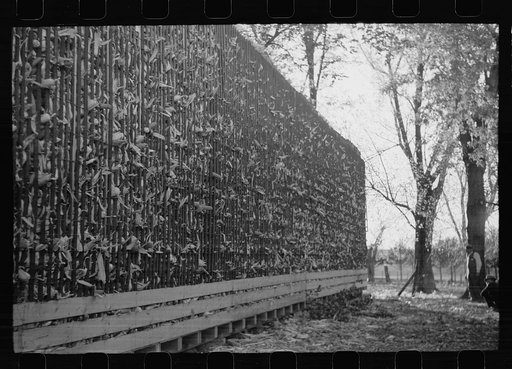 Untitled photo, possibly related to: Corn crib, Grundy County, Iowa