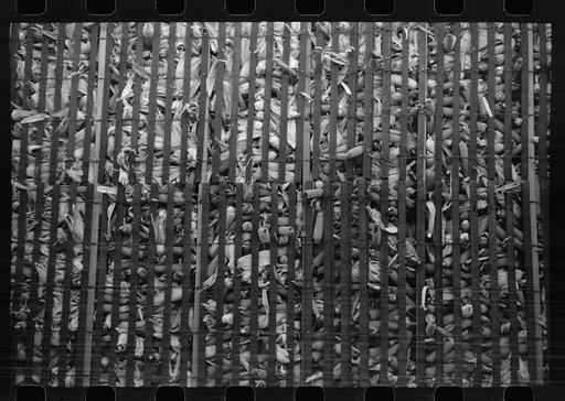 Untitled photo, possibly related to: Corn crib, Grundy County, Iowa