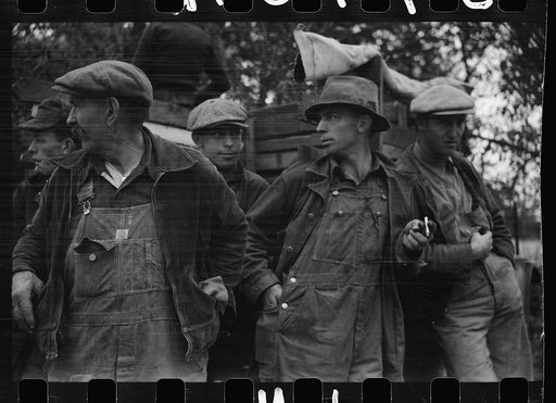 Untitled photo, possibly related to: Farmers at cornhusking contest, Marshall County, Iowa