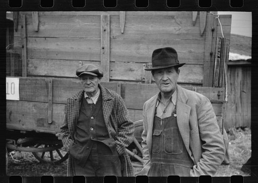 Farmers at cornhusking contest, Marshall County, Iowa