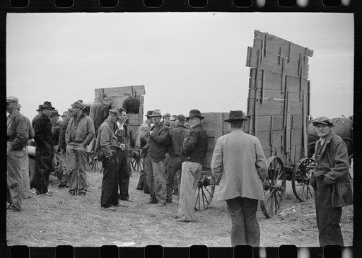 Farmers wait for the cornhusking contest to start, Marshall County, Iowa