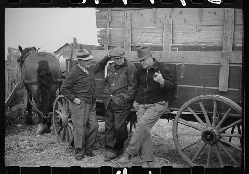 Farmers at cornhusking contest, Marshall County, Iowa