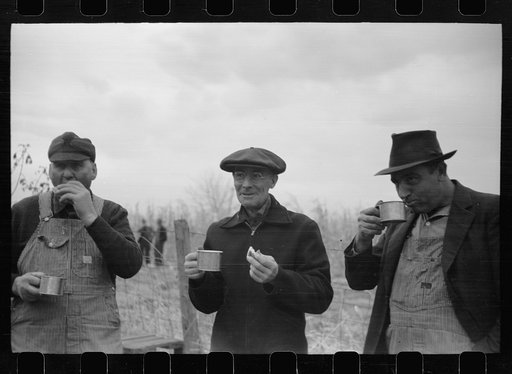 Untitled photo, possibly related to: Farmers at cornhusking contest, Marshall County, Iowa