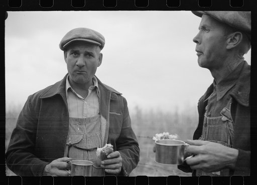 Farmers at cornhusking contest, Marshall County, Iowa