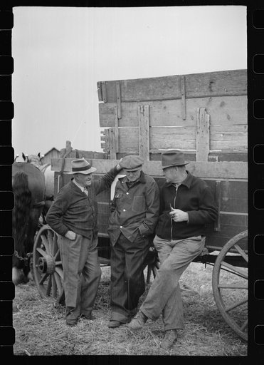 Untitled photo, possibly related to: Spectators at cornhusking contest, Marshall County, Iowa