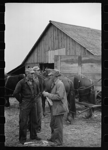 Untitled photo, possibly related to: Spectators at cornhusking contest, Marshall County, Iowa