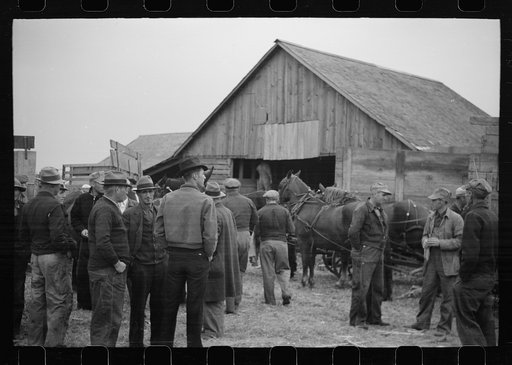 Untitled photo, possibly related to: Spectators at cornhusking contest, Marshall County, Iowa