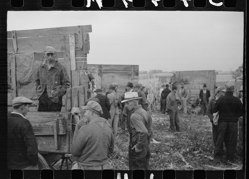 Untitled photo, possibly related to: Spectators at cornhusking contest, Marshall County, Iowa
