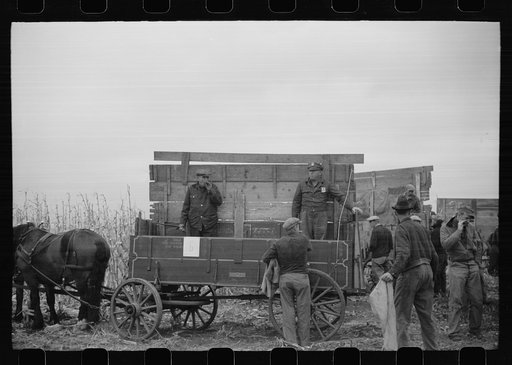 Untitled photo, possibly related to: Wagon with extra-high bangboard used in cornhusking contest, Marshall County, Iowa