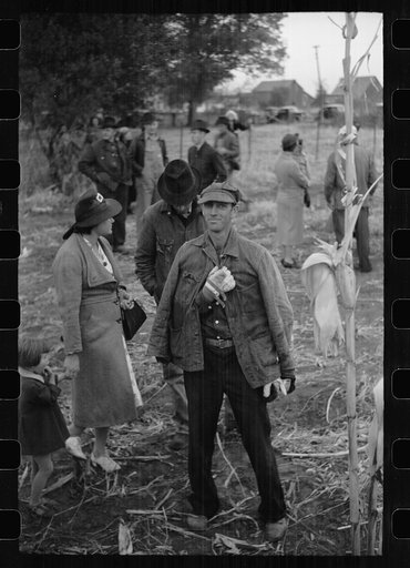 Untitled photo, possibly related to: Contestant waits for starting gun as his wife and child look on, cornhusking contest, Marshall County, Iowa