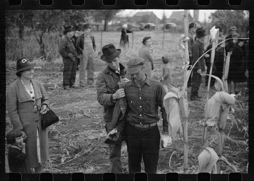 Untitled photo, possibly related to: Contestant waits for starting gun as his wife and child look on, cornhusking contest, Marshall County, Iowa
