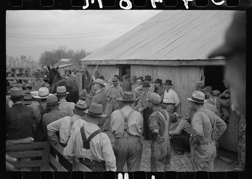 Untitled photo, possibly related to: Farm sale, Pettis County, Missouri