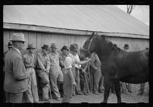 Auctioneers, buyers, and farmer with horse, farm sale, Pettis County, Missouri