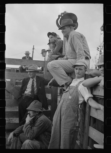 Neighbors of farmer who is selling out at auction, Pettis County, Missouri