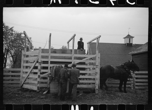 Untitled photo, possibly related to: Wagon with extra-high bangboard used in cornhusking contest, Marshall County, Iowa