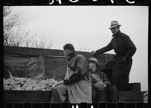 Untitled photo, possibly related to: Gleaners of wagon load being taken to scales, cornhusking contest, Marshall County, Iowa