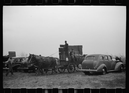 Untitled photo, possibly related to: Wagon with extra-high bangboard used in cornhusking contest, Marshall County, Iowa