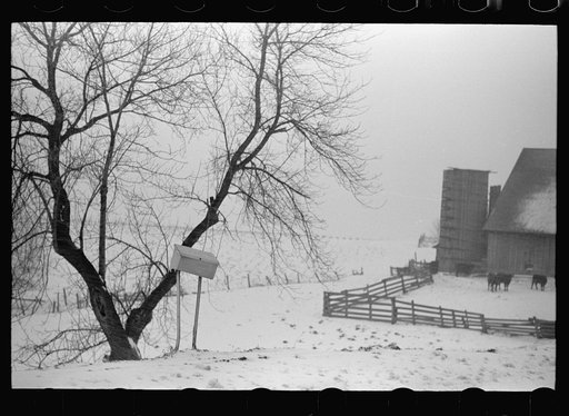 Untitled photo, possibly related to: Farm along U.S. 6, Iowa County, Iowa