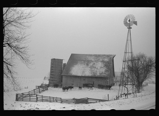 Untitled photo, possibly related to: Farm along U.S. 6, Iowa County, Iowa