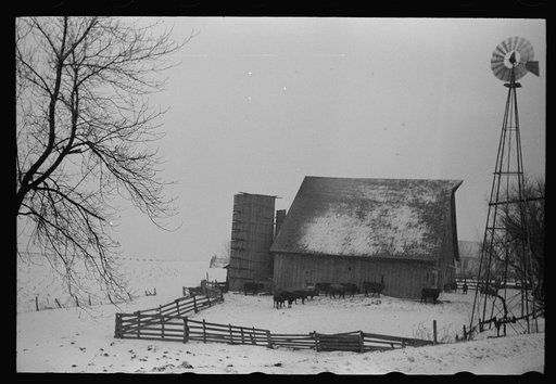Untitled photo, possibly related to: Farm along U.S. 6, Iowa County, Iowa