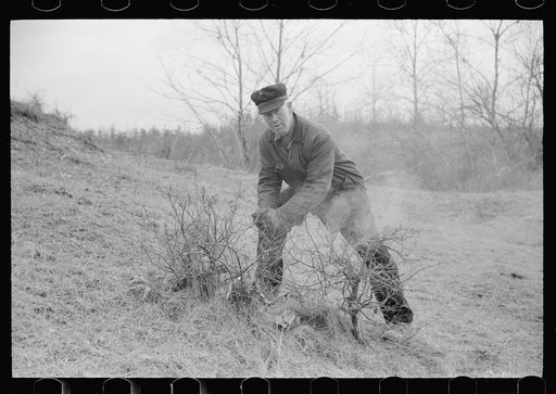 Untitled photo, possibly related to: Farmer, Parke County, Indiana