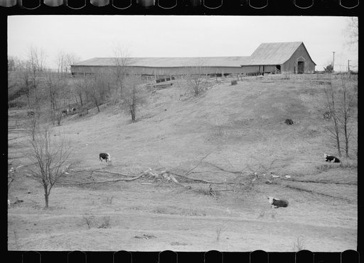 Untitled photo, possibly related to: Farmer with water tank, Parke County, Indiana