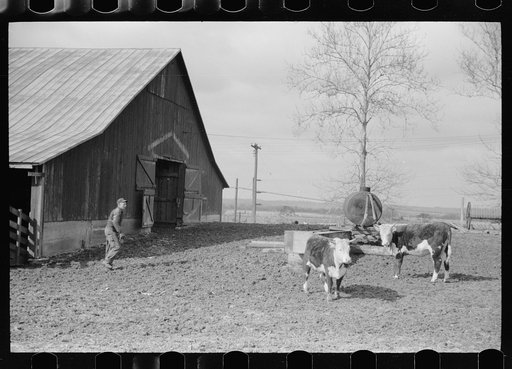 Untitled photo, possibly related to: Farmer with water tank, Parke County, Indiana