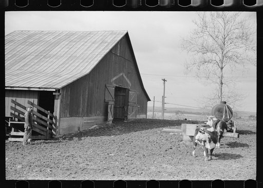 Untitled photo, possibly related to: Farmer with water tank, Parke County, Indiana