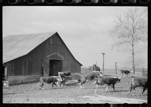 Untitled photo, possibly related to: Farmer with water tank, Parke County, Indiana