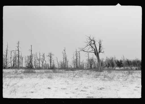 Untitled photo, possibly related to: Shenandoah National Park, Virginia, Skyline Drive