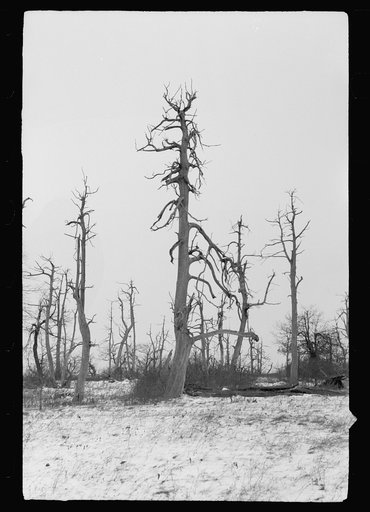 Untitled photo, possibly related to: Shenandoah National Park, Virginia, Skyline Drive
