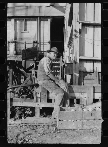 Untitled photo, possibly related to: Sorting washed grapefruit, juice plant, Weslaco, Texas. This area of Texas, the Rio Grande Valley, has extensive citrus cultivation, particularly grapefruit. Canning and packing plants for vegetables and citrus are located along the railroad line, the Missouri Pa